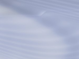 网络效应